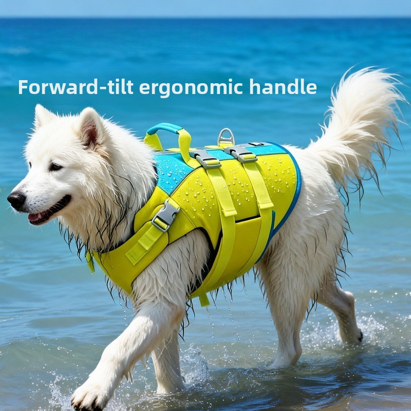 고부력 애완견 구명조끼, 골든 불독, 보더 코기 등 대 - Life Jacket Buoyancy 리뷰 및 가격