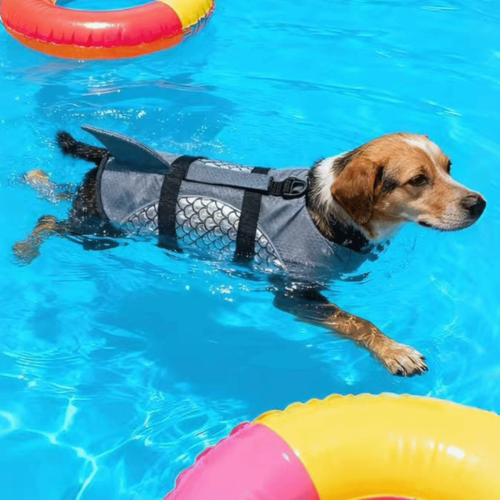 강력한 부력 강아지 구명조끼 반짝이는 비늘 상어 지느러 - Life Jacket Buoyancy 리뷰 및 가격